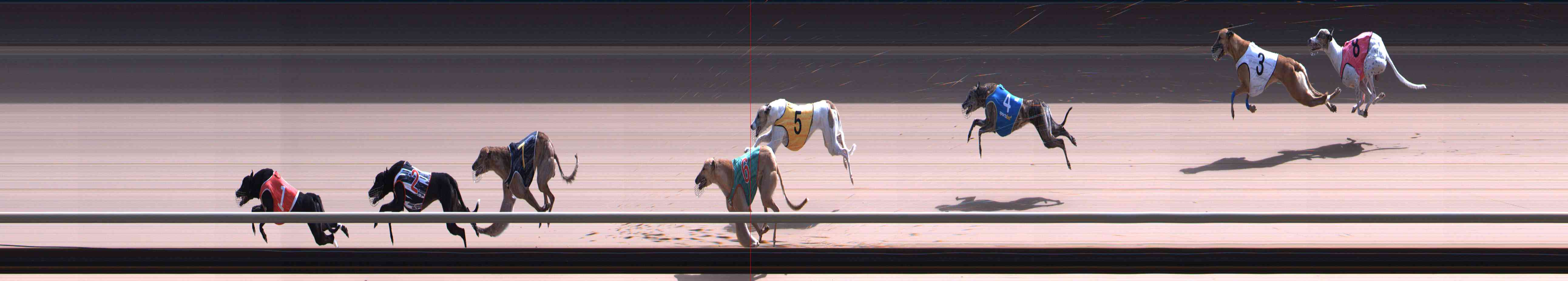Photo finish for Healesville Race 11
