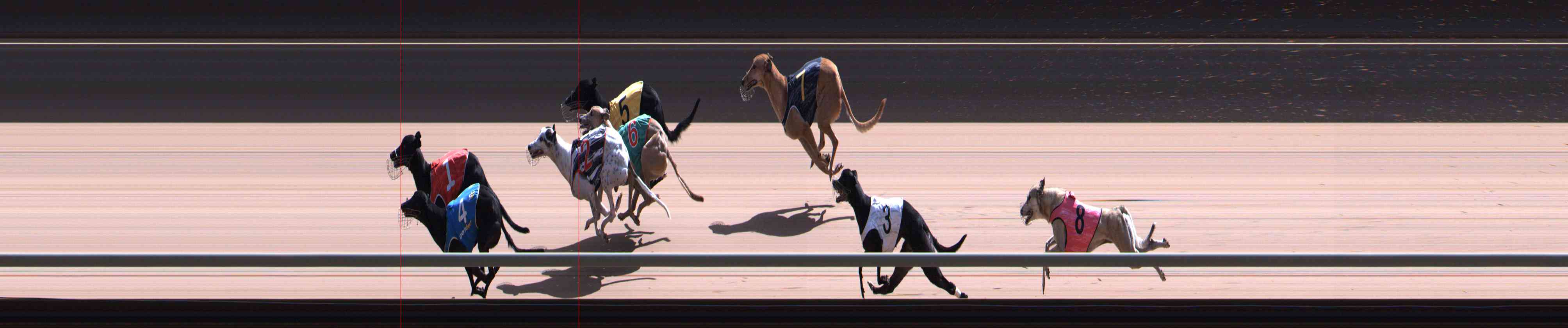 Photo finish for Healesville Race 12