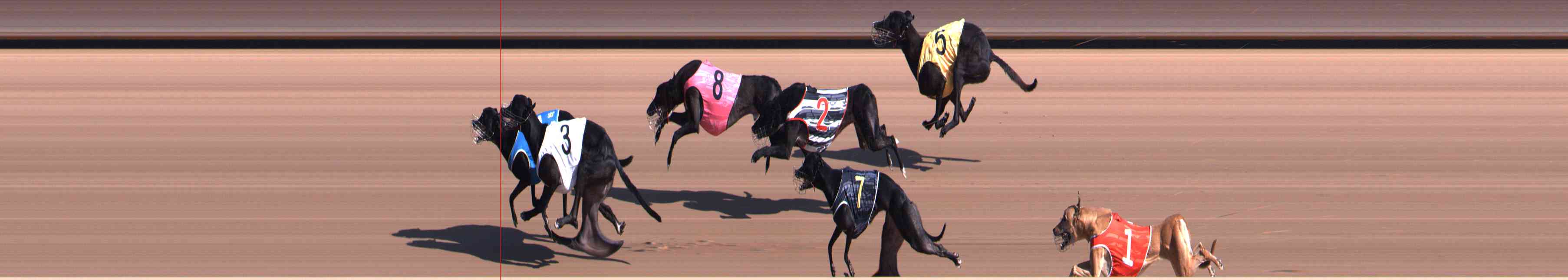 Photo finish for Healesville Race 1