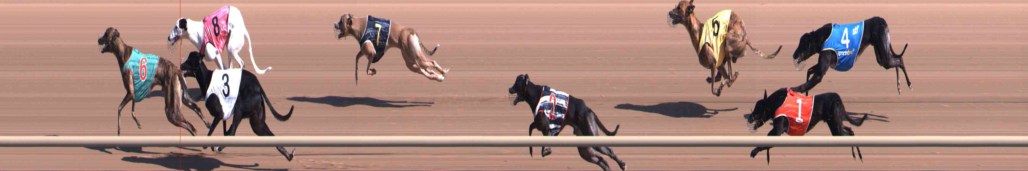 Photo finish for Healesville Race 2