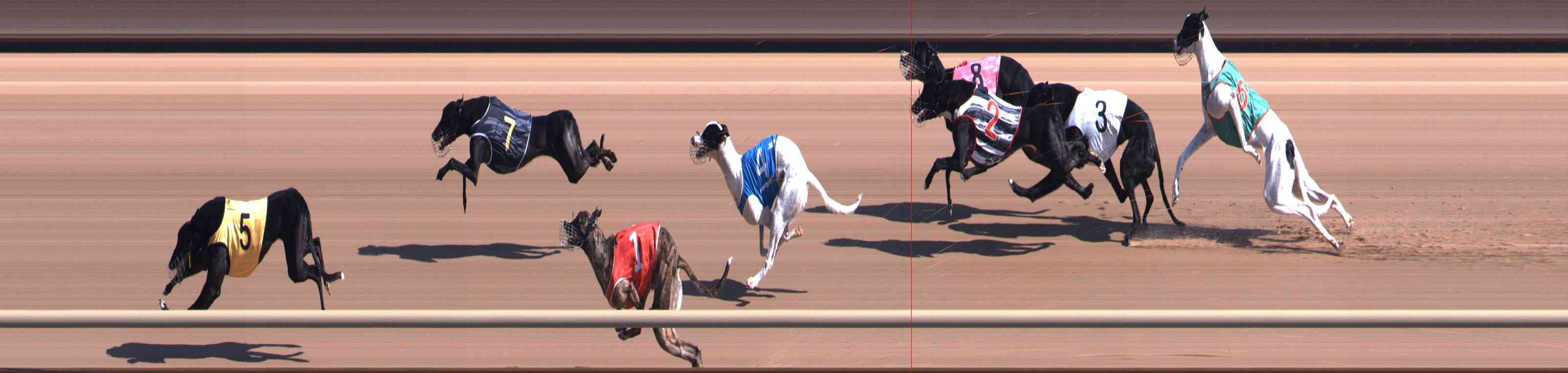 Photo finish for Healesville Race 3