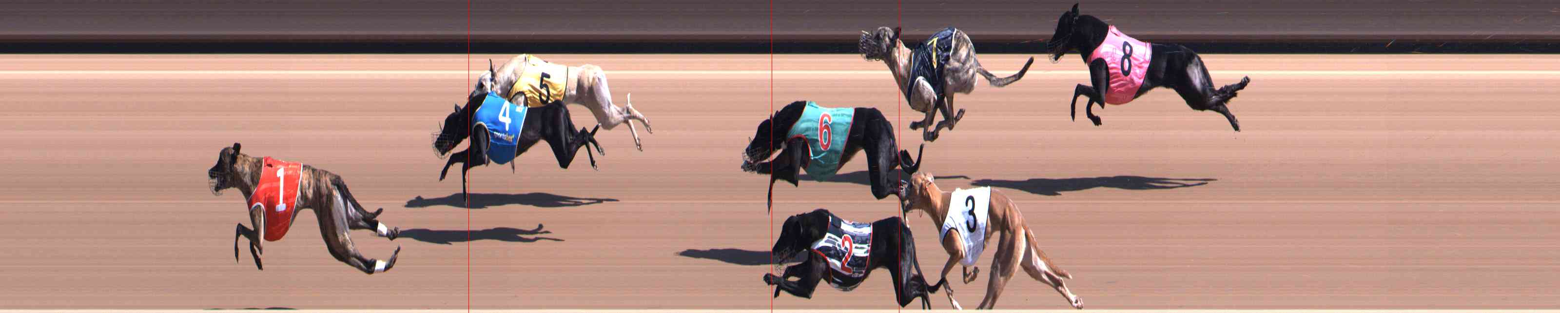 Photo finish for Healesville Race 4