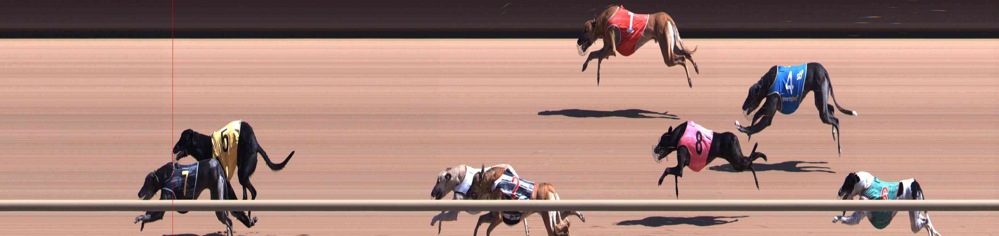 Photo finish for Healesville Race 6