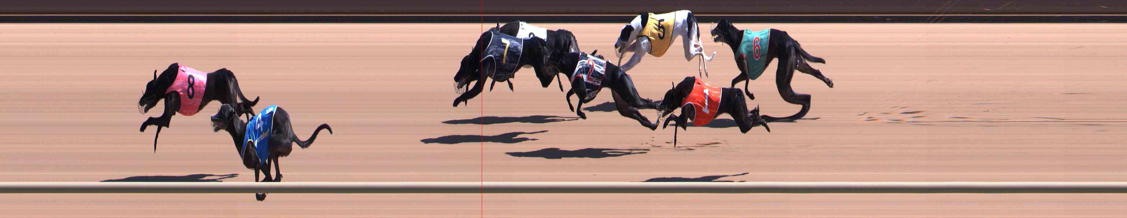 Photo finish for Healesville Race 7