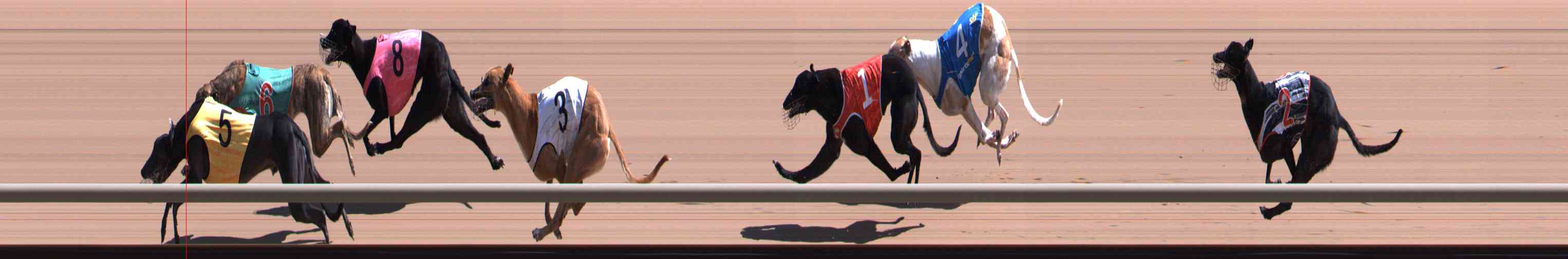 Photo finish for Healesville Race 9