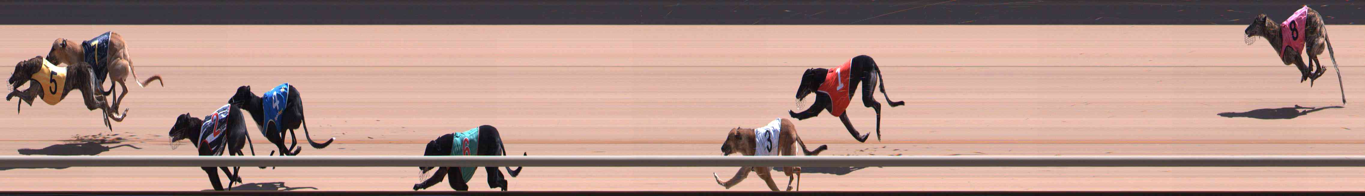 Photo finish for Healesville Race 10