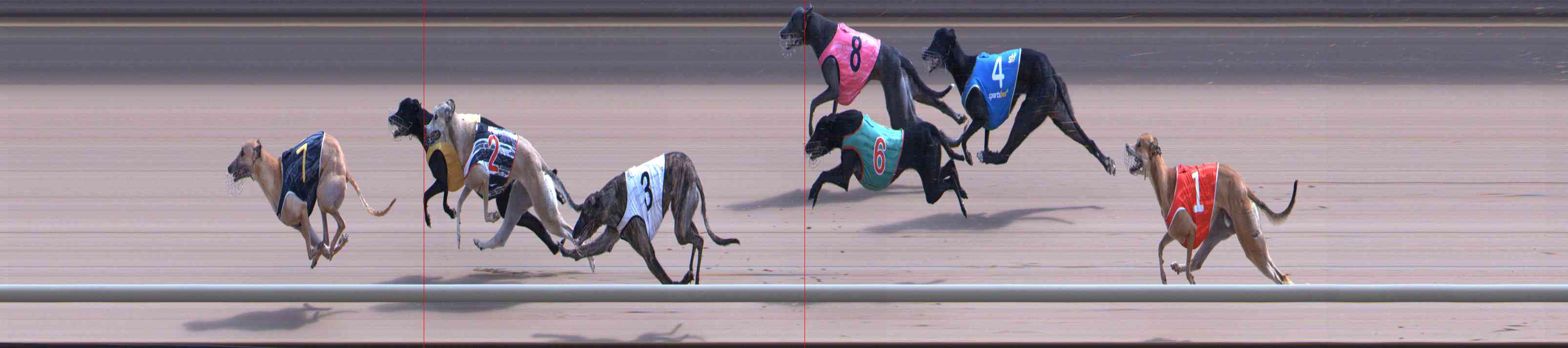 Photo finish for Healesville Race 11
