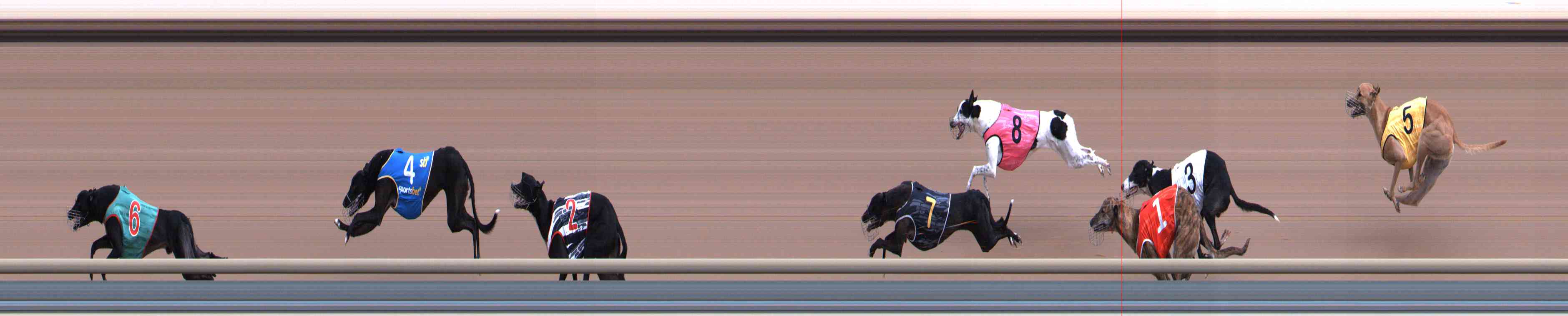 Photo finish for Healesville Race 1