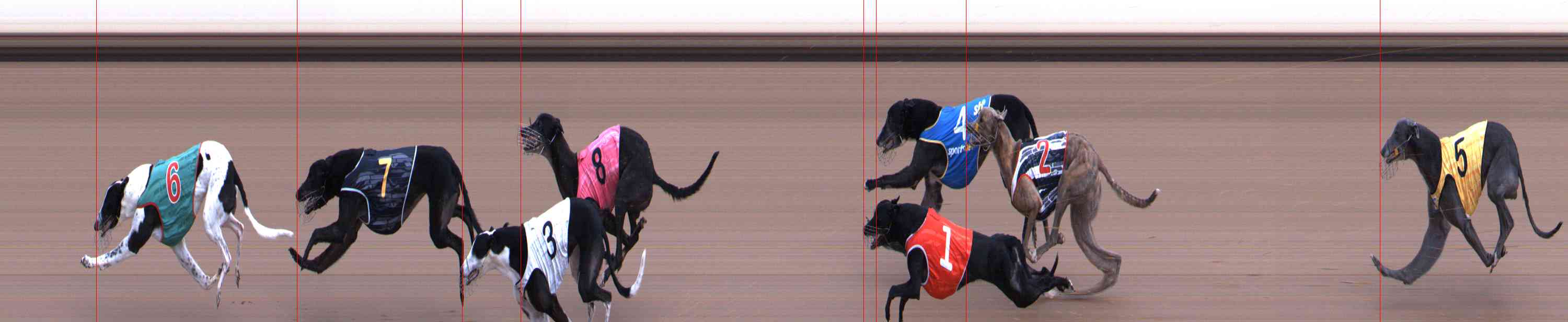 Photo finish for Healesville Race 2