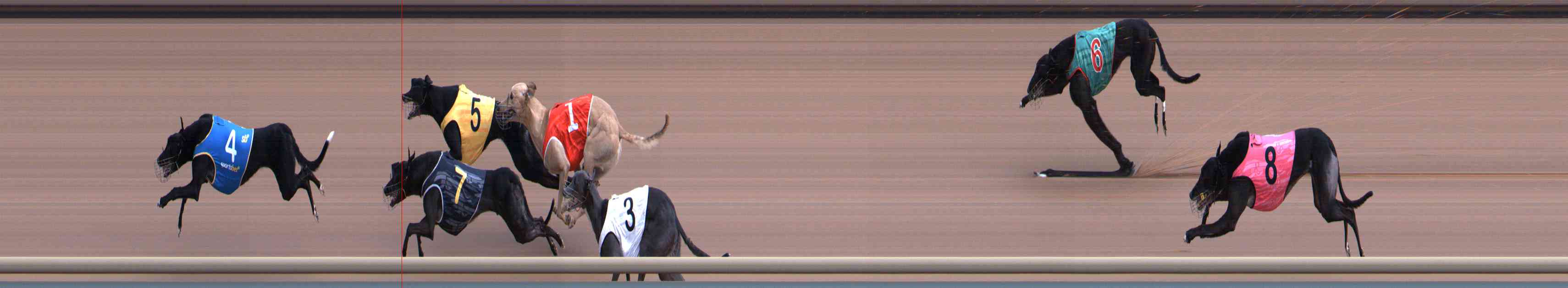 Photo finish for Healesville Race 3