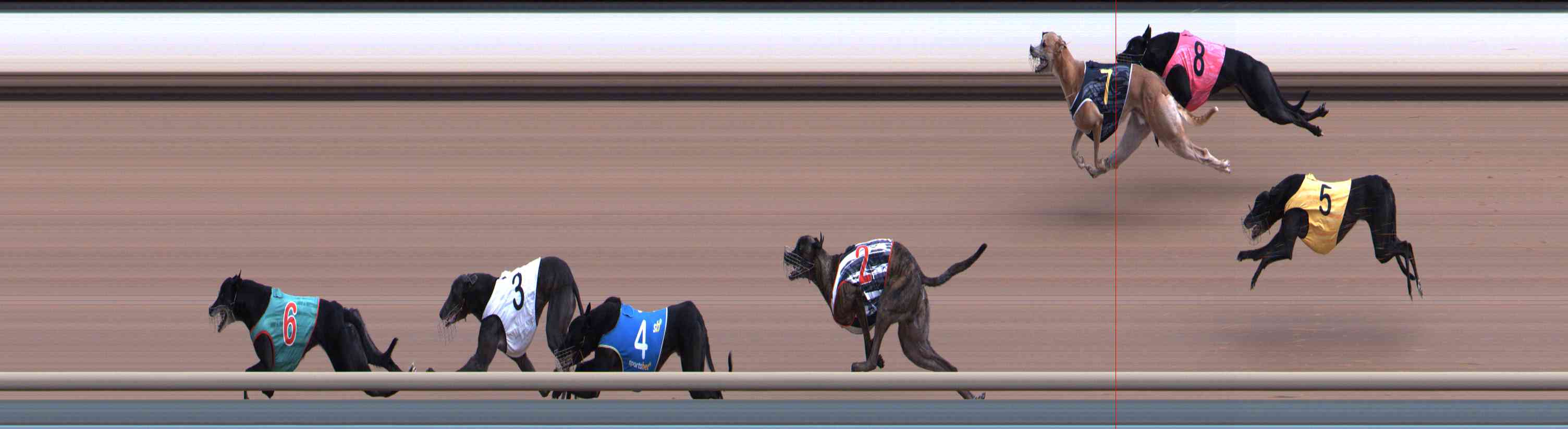 Photo finish for Healesville Race 4