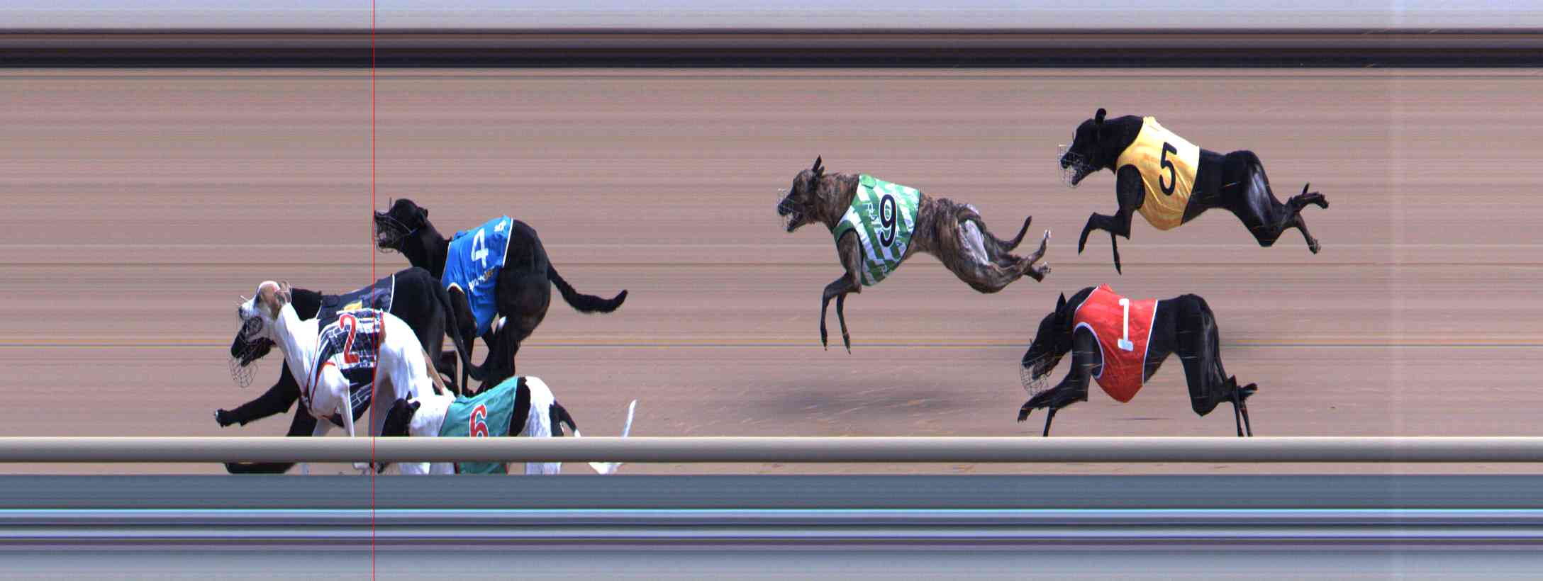 Photo finish for Healesville Race 5
