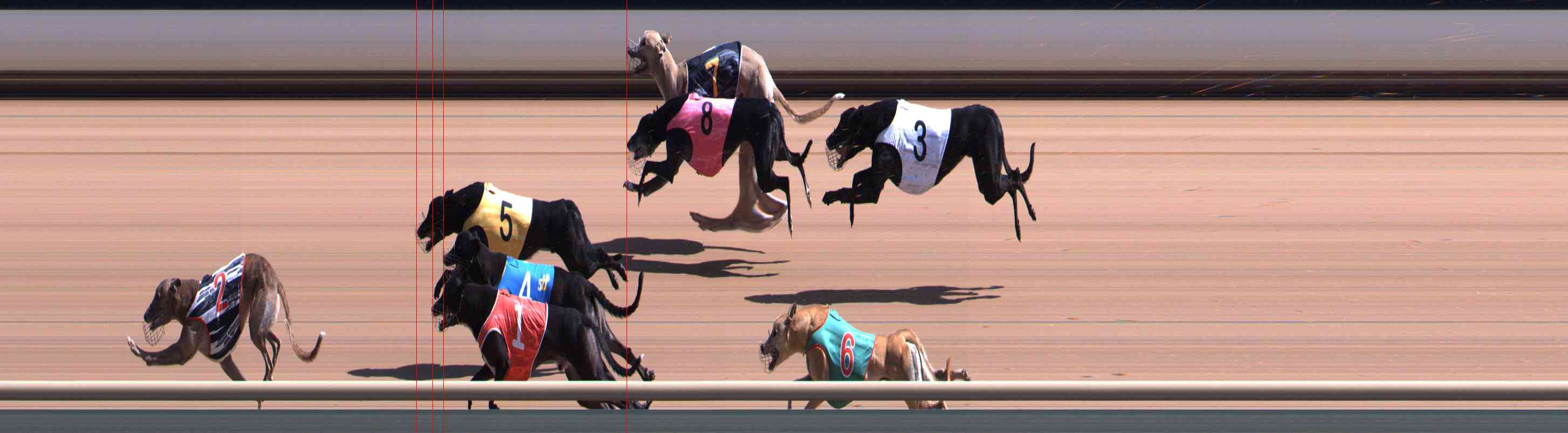 Photo finish for Healesville Race 6
