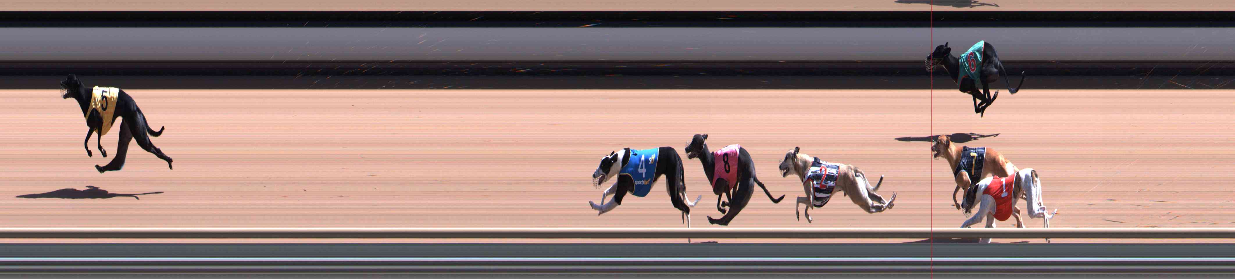 Photo finish for Healesville Race 8