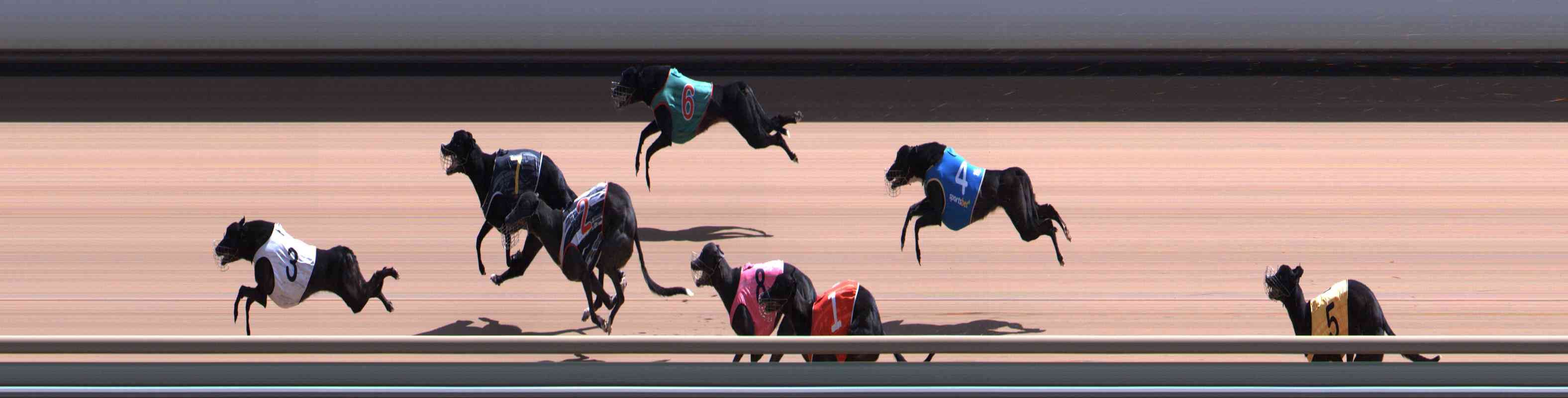 Photo finish for Healesville Race 10