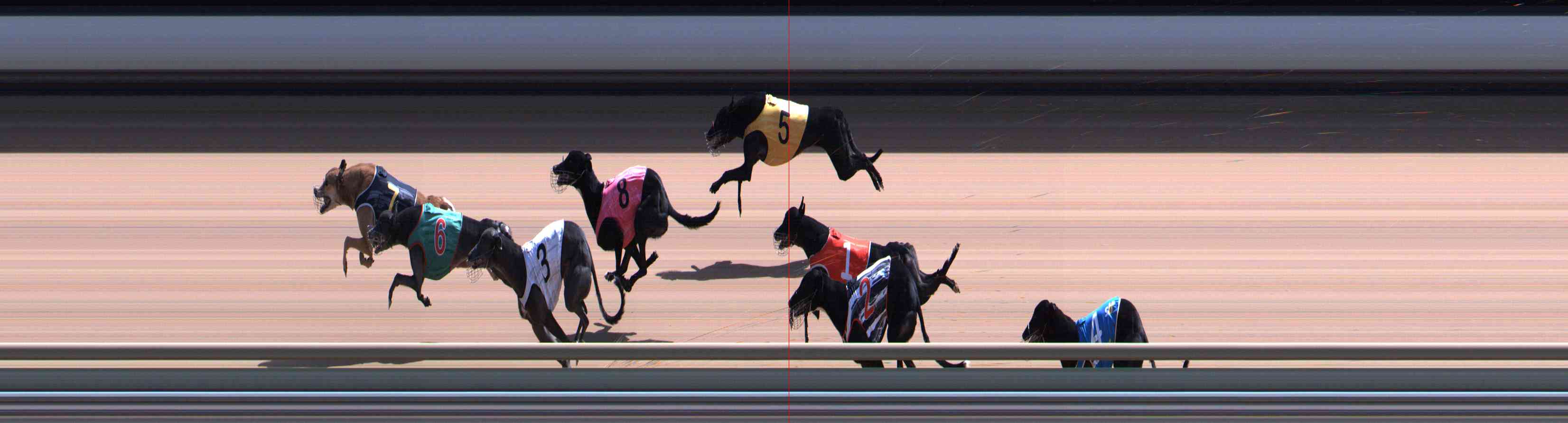 Photo finish for Healesville Race 11