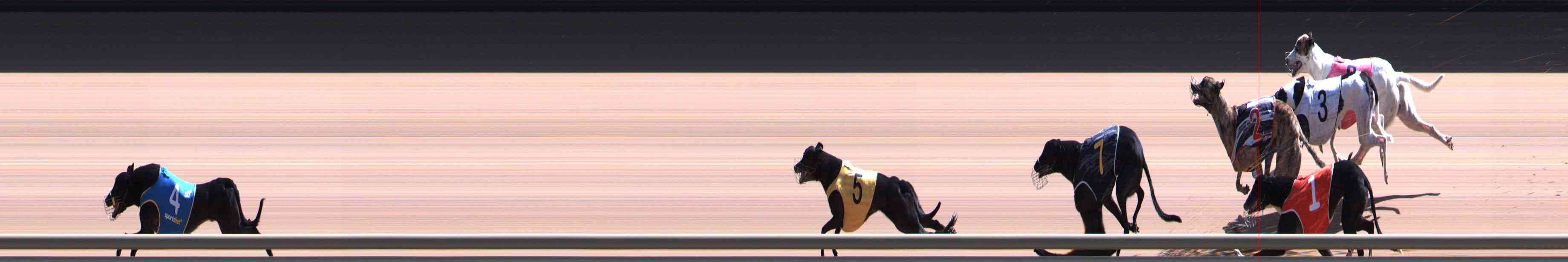 Photo finish for Healesville Race 12