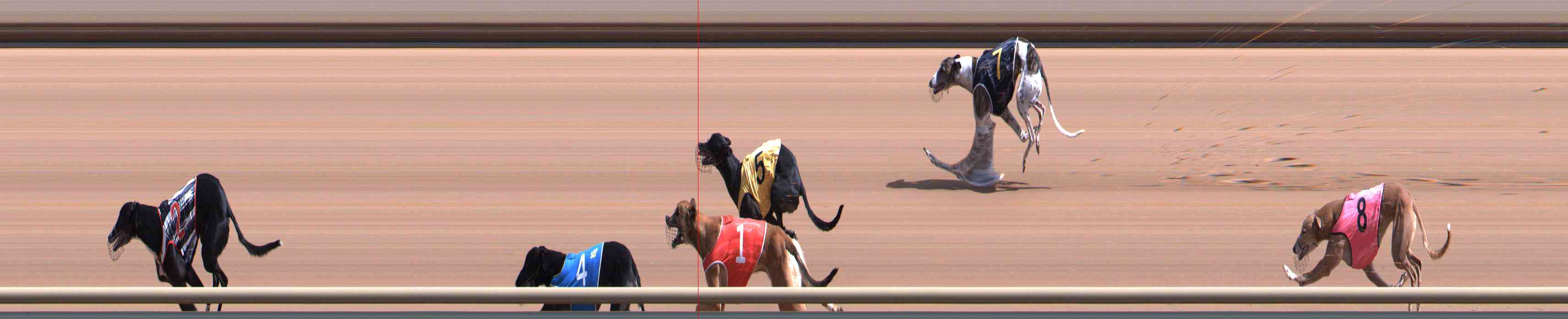 Photo finish for Healesville Race 2