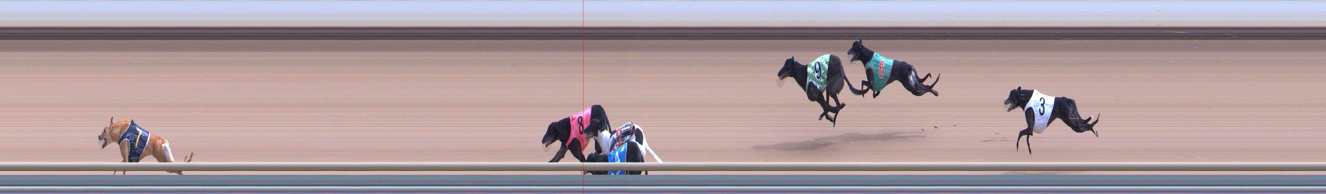 Photo finish for Healesville Race 5