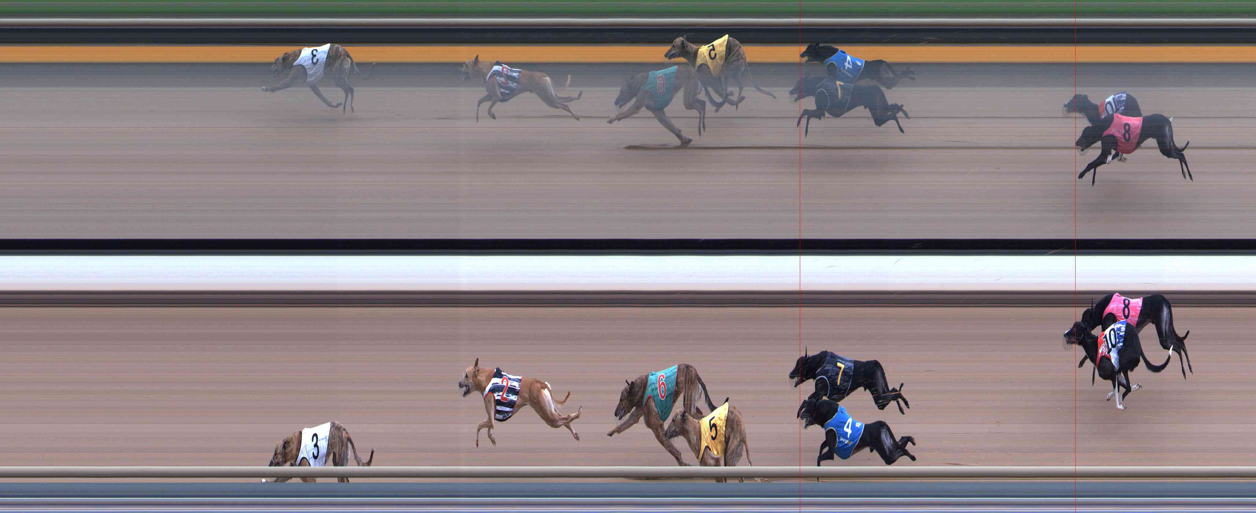 Photo finish for Healesville Race 6