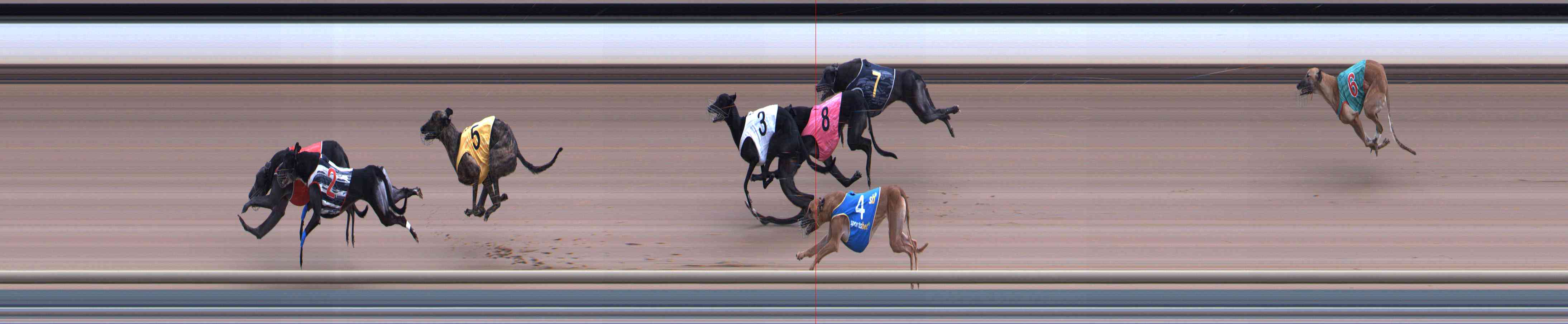 Photo finish for Healesville Race 7