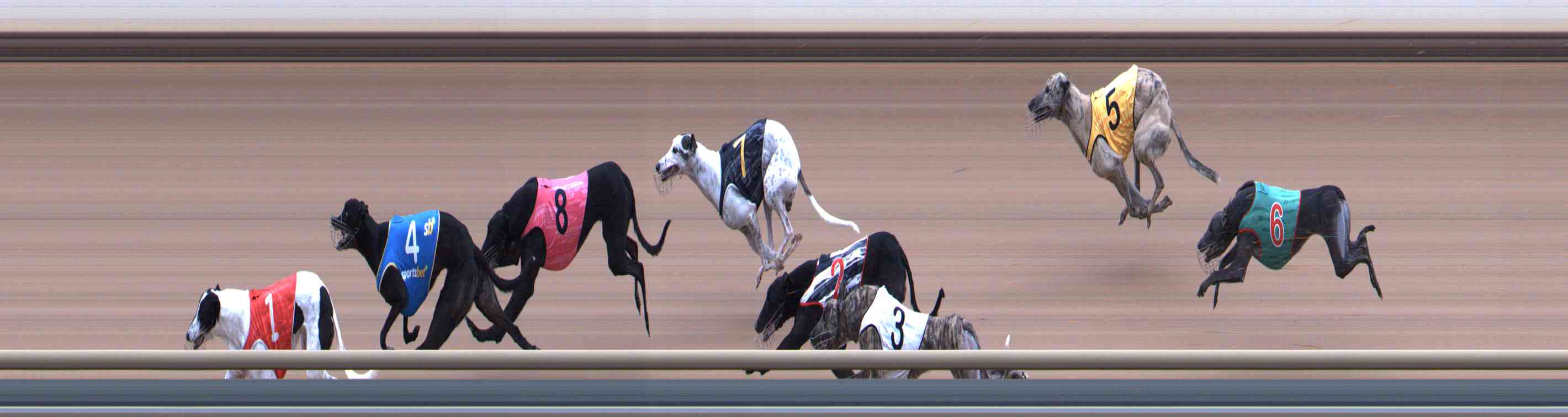 Photo finish for Healesville Race 8