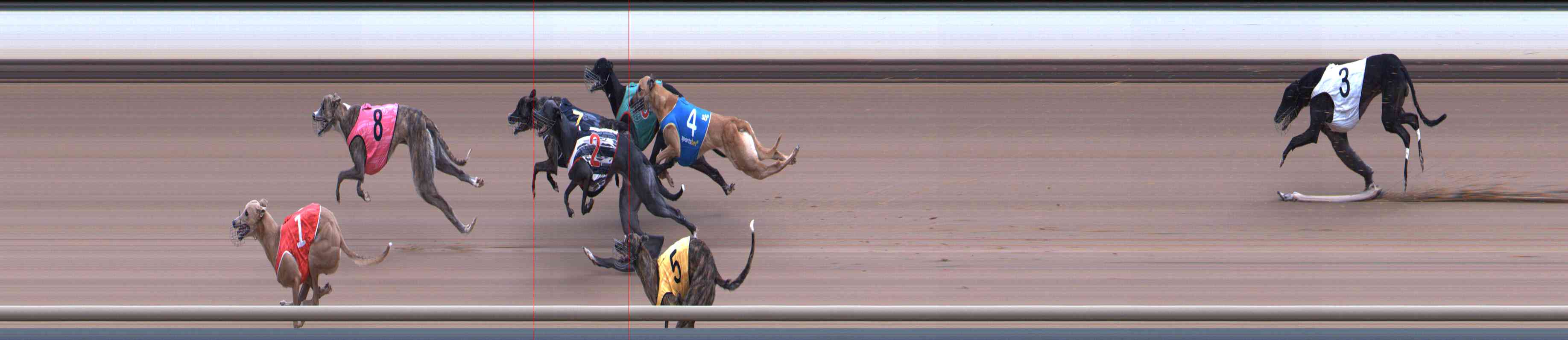Photo finish for Healesville Race 9