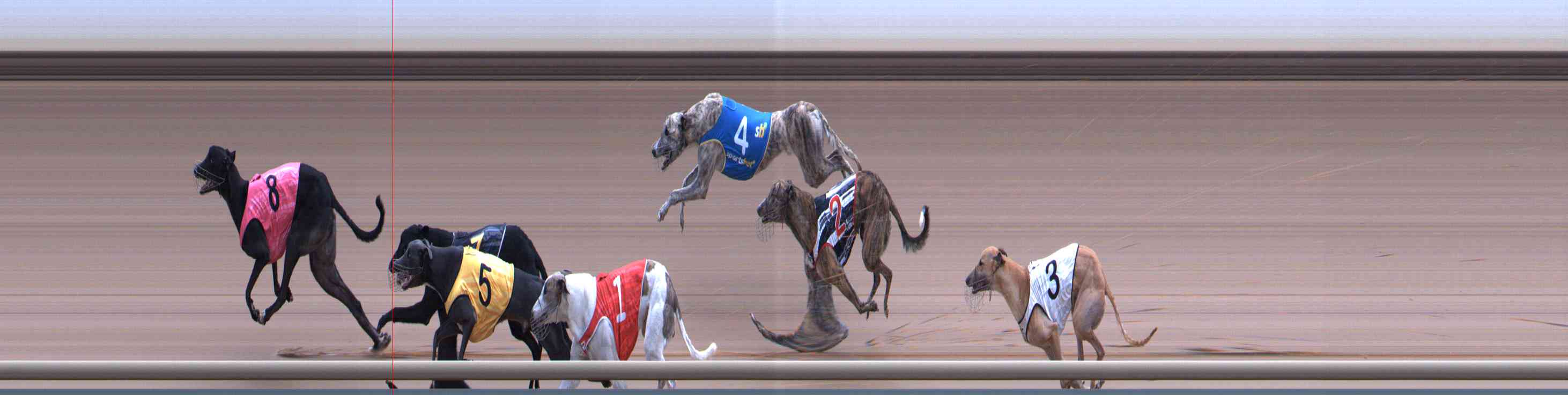 Photo finish for Healesville Race 10