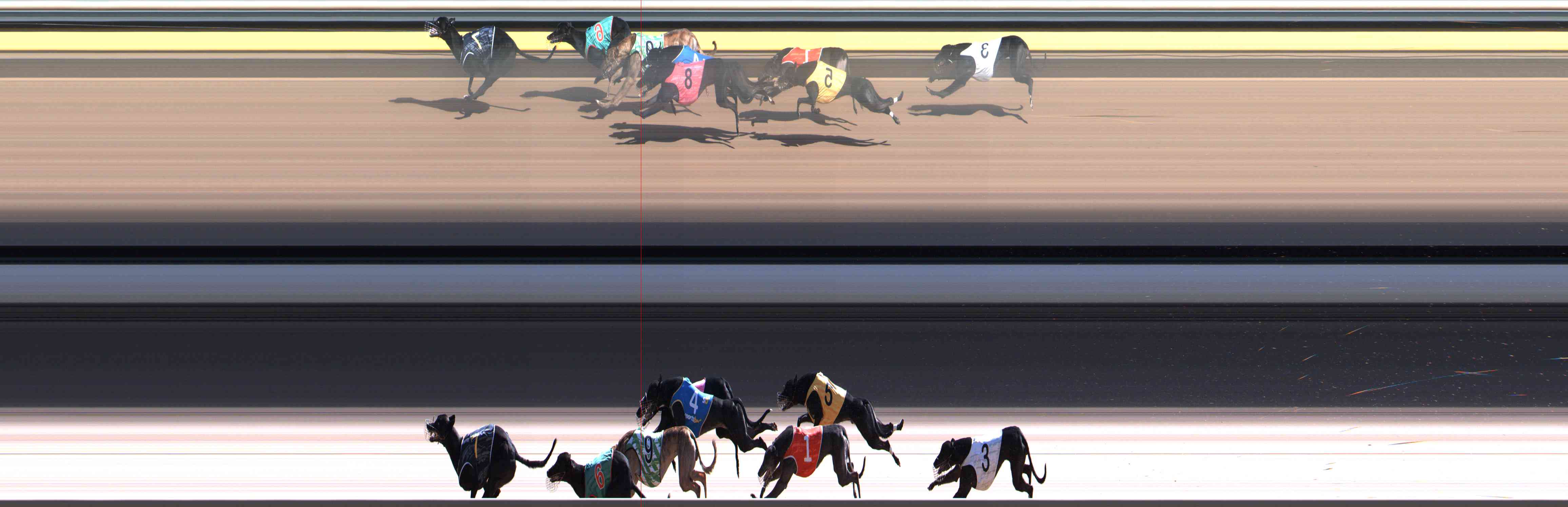 Photo finish for Healesville Race 11