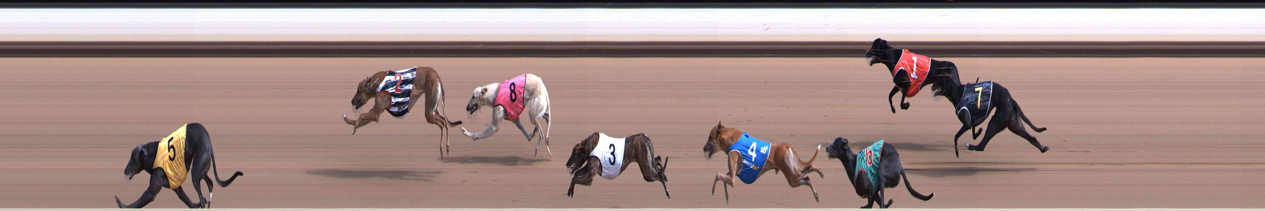 Photo finish for Healesville Race 1