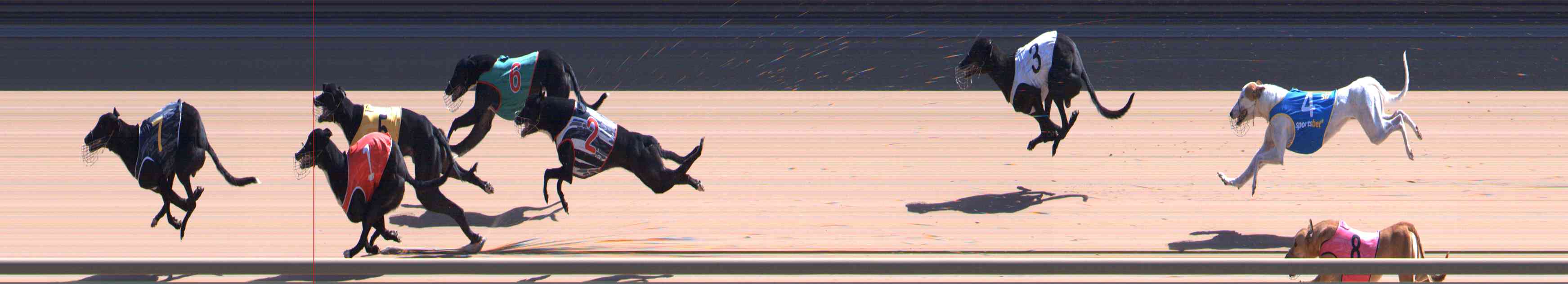 Photo finish for Healesville Race 1