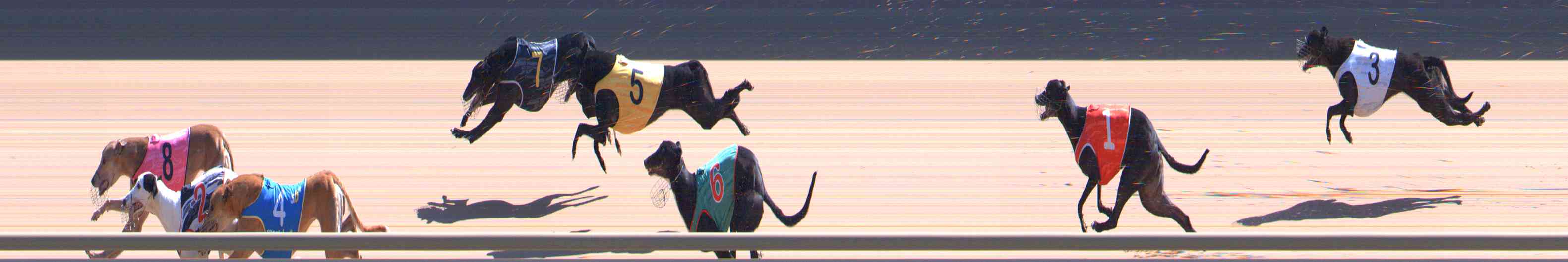 Photo finish for Healesville Race 2
