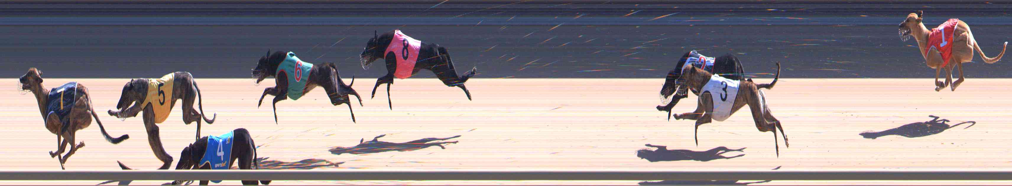 Photo finish for Healesville Race 3