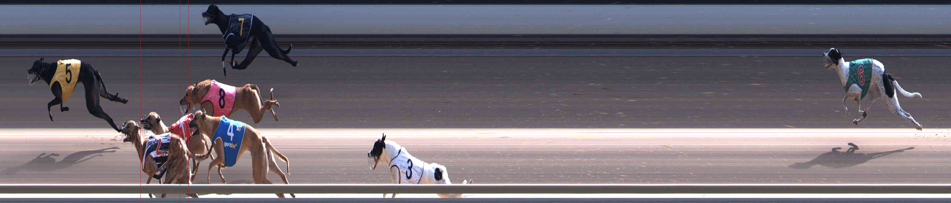 Photo finish for Healesville Race 5