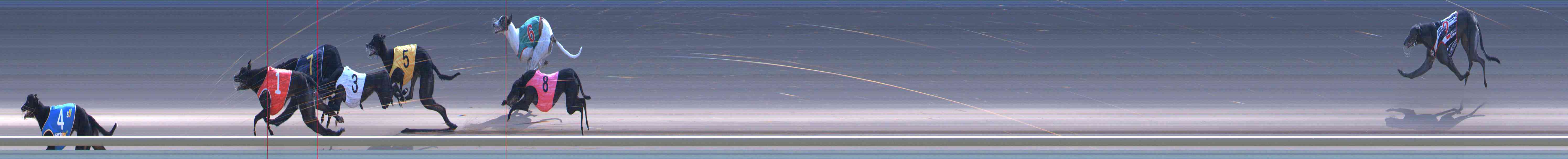 Photo finish for Healesville Race 6