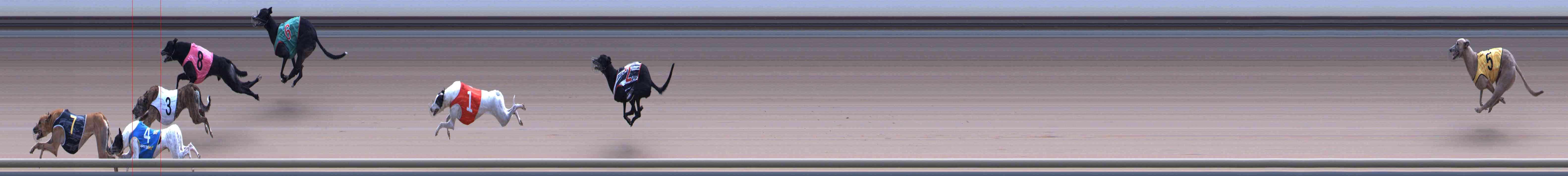 Photo finish for Healesville Race 7