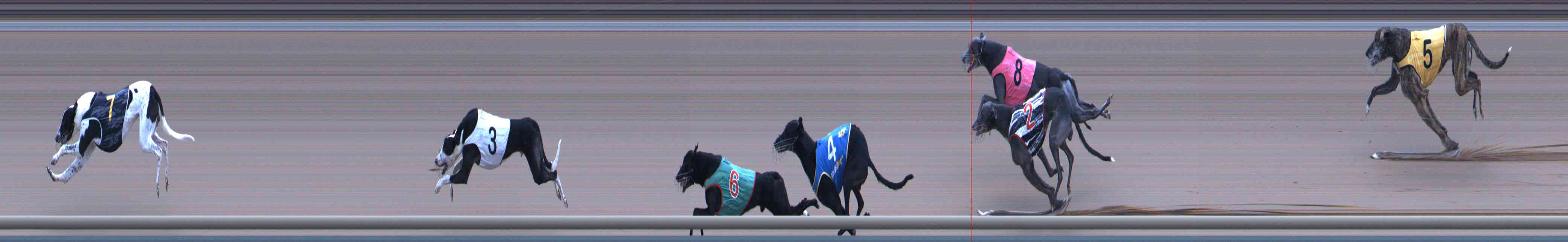 Photo finish for Healesville Race 9