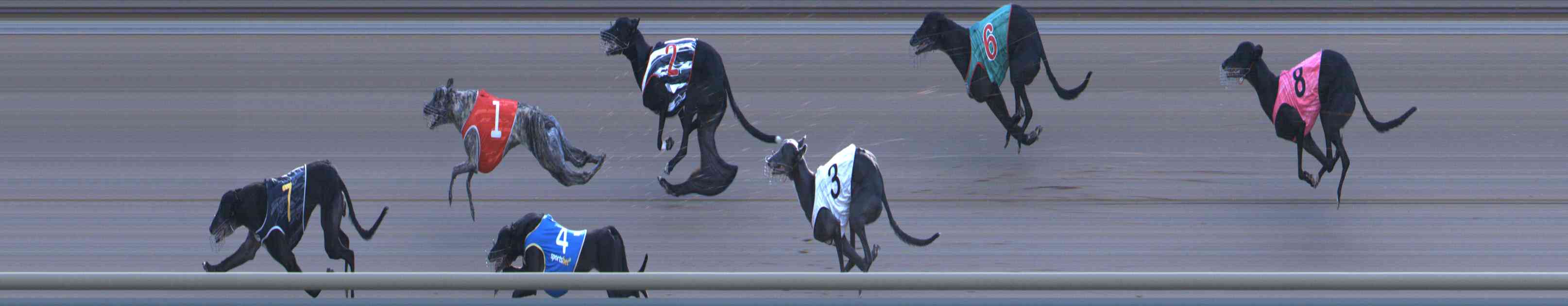 Photo finish for Healesville Race 10