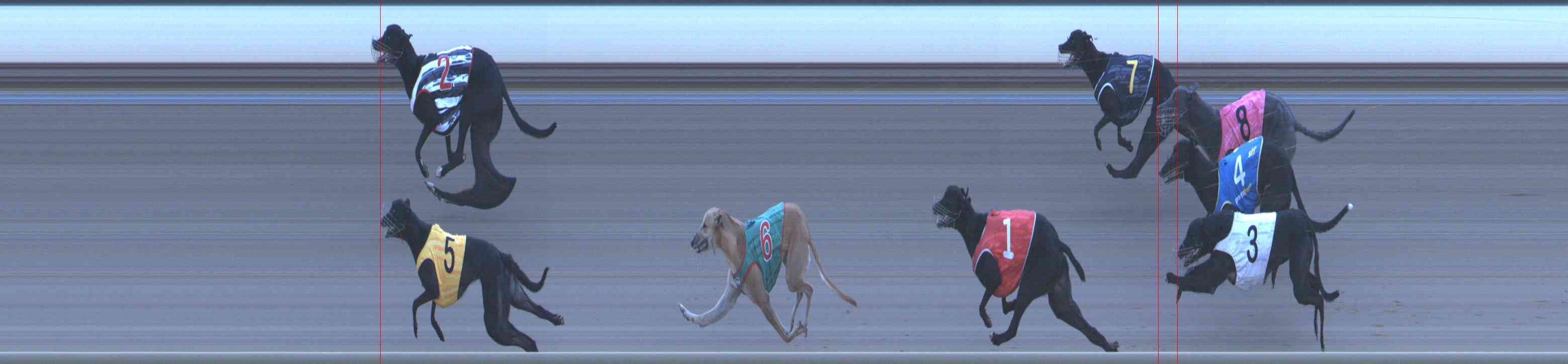 Photo finish for Healesville Race 11