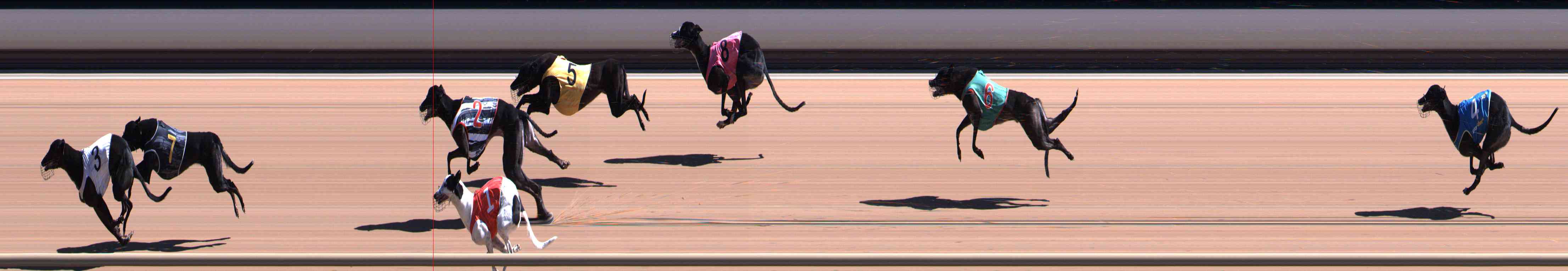 Photo finish for Healesville Race 1