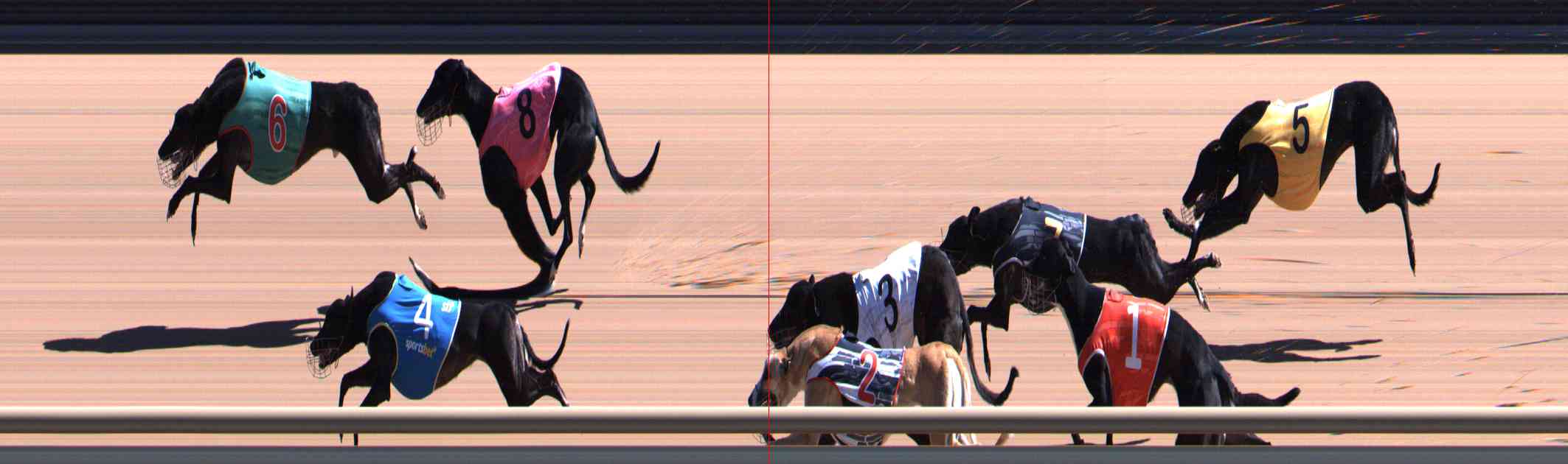 Photo finish for Healesville Race 2