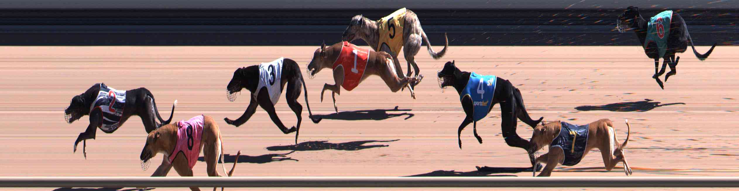 Photo finish for Healesville Race 3