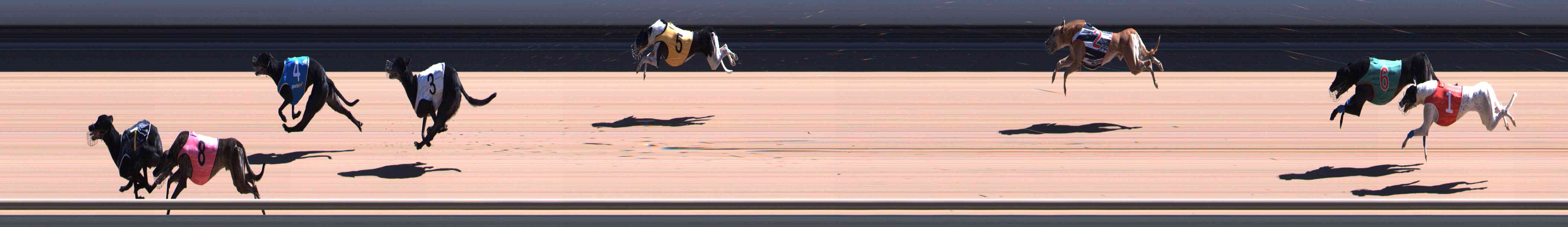 Photo finish for Healesville Race 4