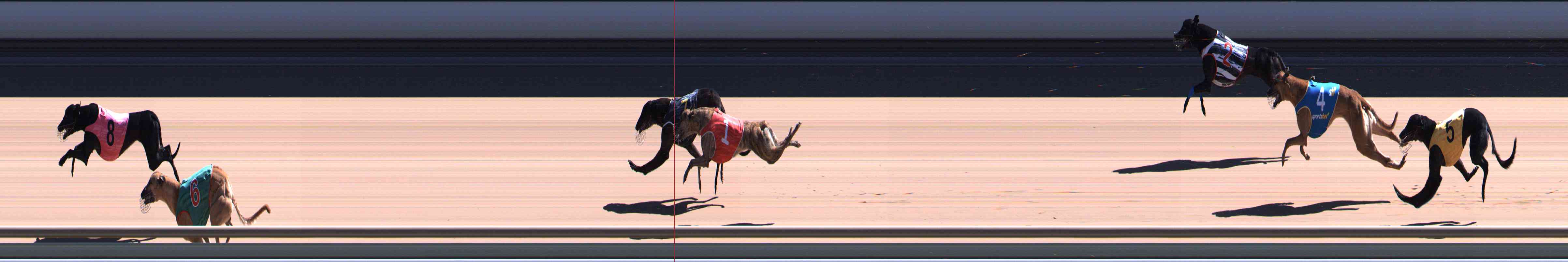 Photo finish for Healesville Race 5