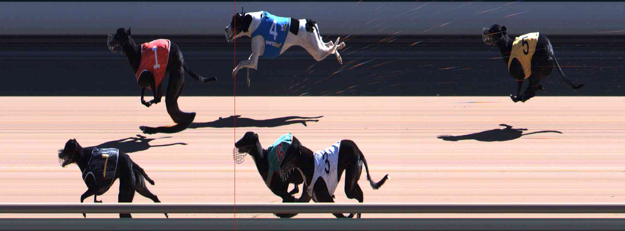 Photo finish for Healesville Race 6