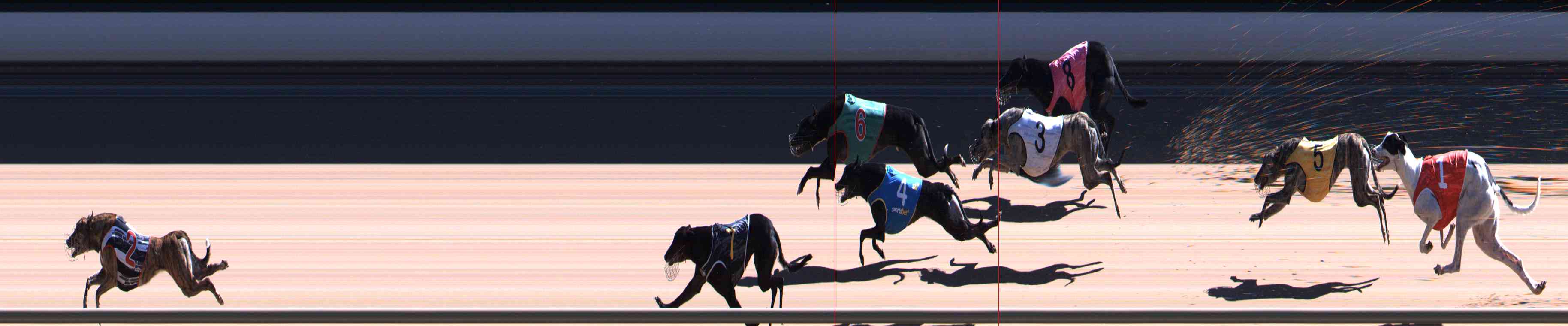 Photo finish for Healesville Race 7