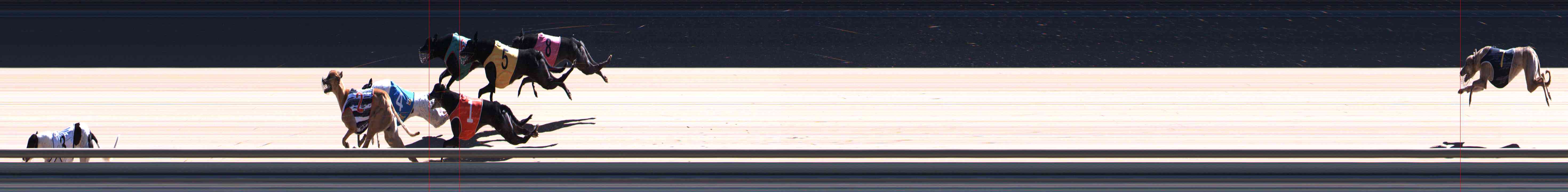 Photo finish for Healesville Race 8