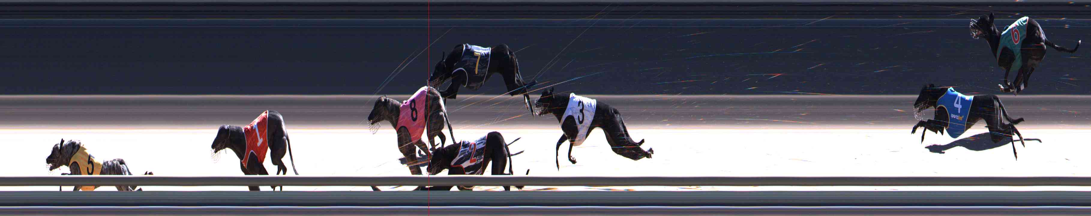 Photo finish for Healesville Race 9