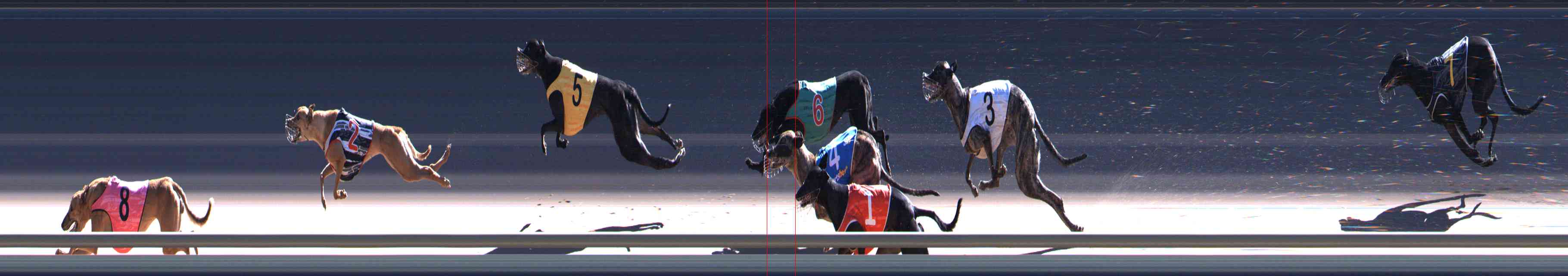 Photo finish for Healesville Race 10