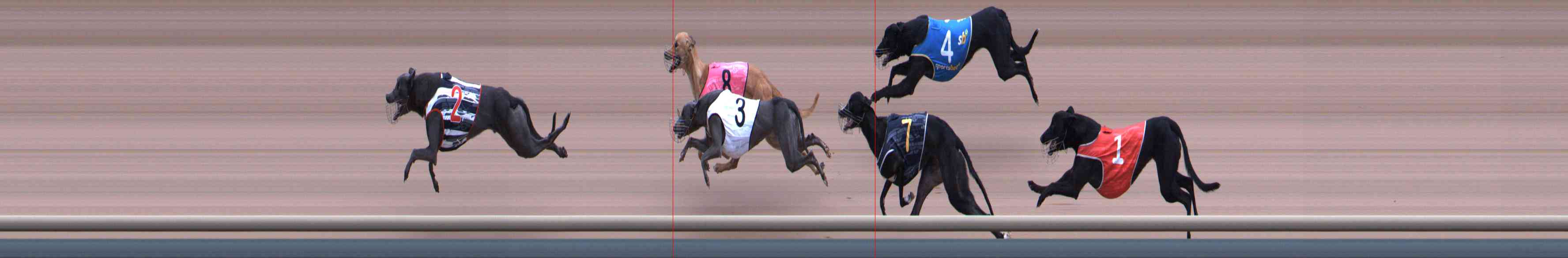 Photo finish for Healesville Race 1